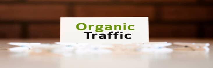 How-Can-I-Increase-Organic-Traffic-To-My-Affiliate-Blog-featured-image-200x620w-sign-saying-organic-traffic-make-xtra-money-online